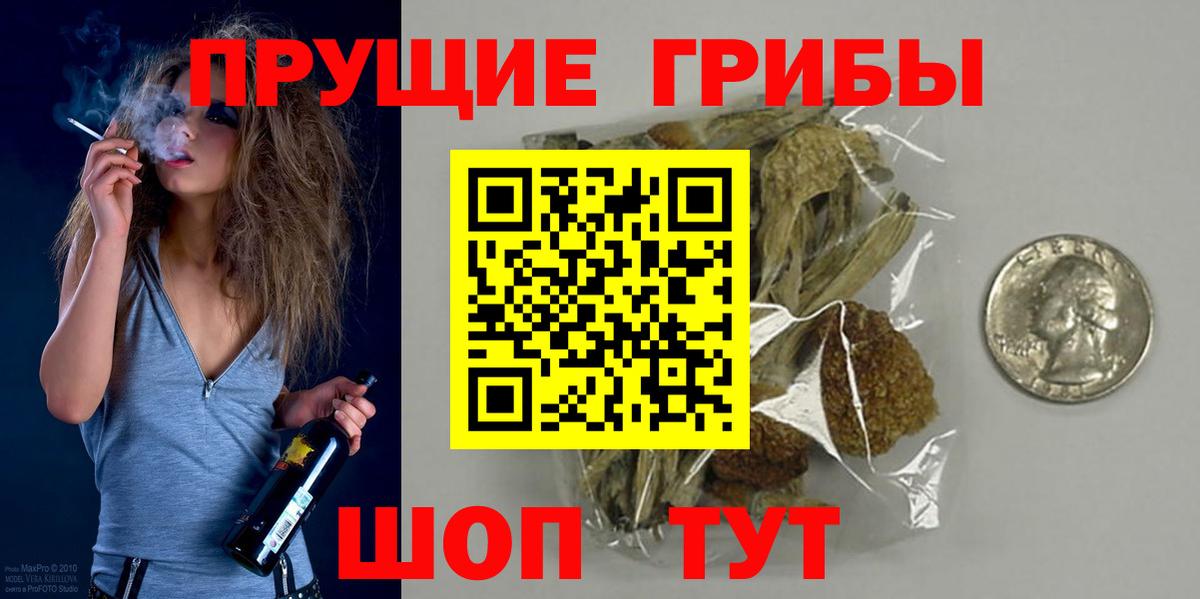 Галлюциногенные грибы прущие грибы Прокопьевск